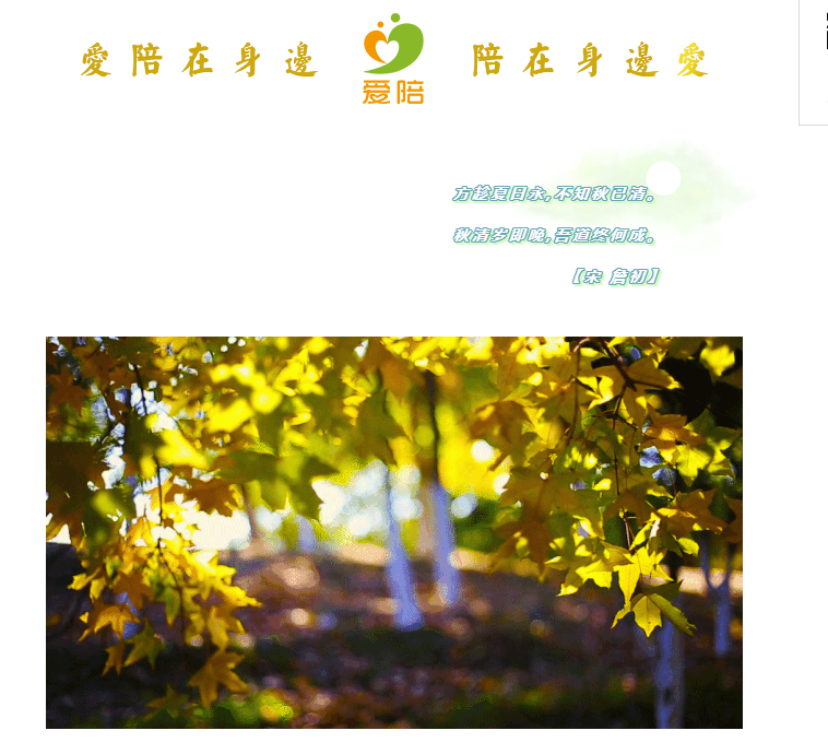 秋清歲即晚，吾道終何成？--共享陪護床為何而生